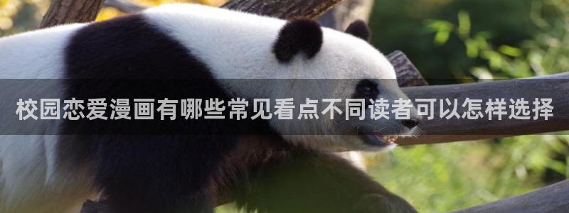 樱花日语阅读理解:校园恋爱漫画有哪些常见看点不同读者可以怎样选择