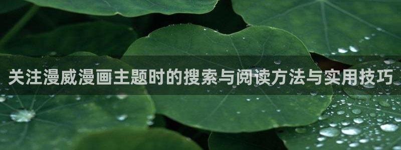 樱花日语N2词汇：关注漫威漫画主题时的搜索与阅读方法与实用技巧