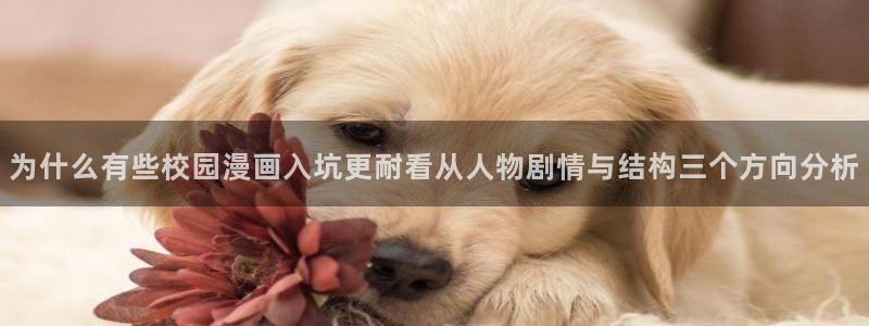 樱花日语零基础入门：为什么有些校园漫画入坑更耐看从人物剧情与结构三个方向分析