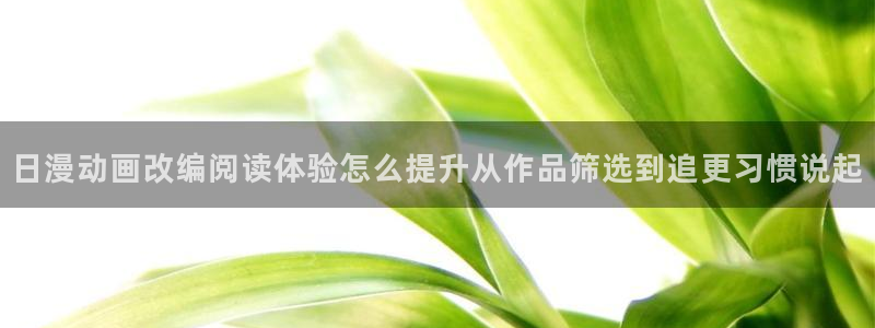 樱花日语高级语法:日漫动画改编阅读体验怎么提升从作品筛选到追更习惯说起